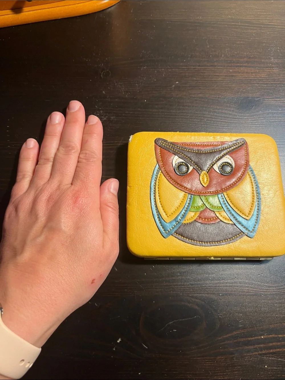 Vintage Yellow Owl Leather Clutch/small wallet with Multicolor Applique